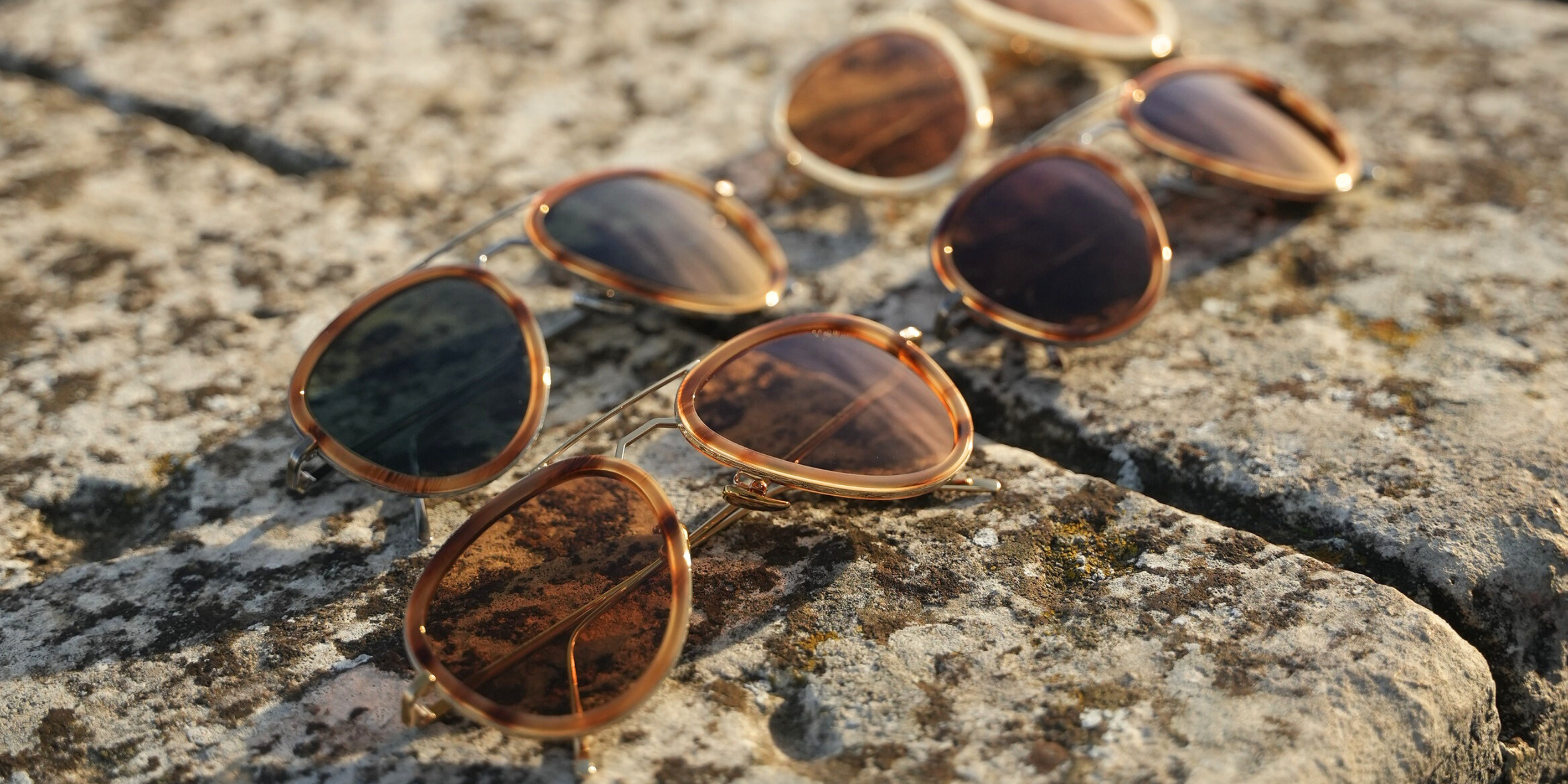 Shop Polarized
